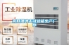 高低溫沖擊試驗箱生產廠商
