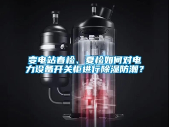 企業(yè)新聞變電站春檢、夏檢如何對電力設(shè)備開關(guān)柜進行除濕防潮？