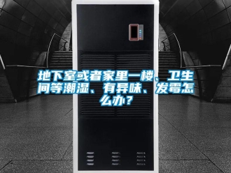 企業新聞地下室或者家里一樓、衛生間等潮濕、有異味、發霉怎么辦？