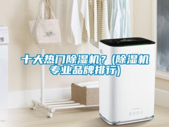 企業新聞十大熱門除濕機？(除濕機專業品牌排行)