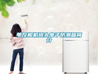 企業(yè)新聞單反相機(jī)鏡頭電子防潮箱簡(jiǎn)介