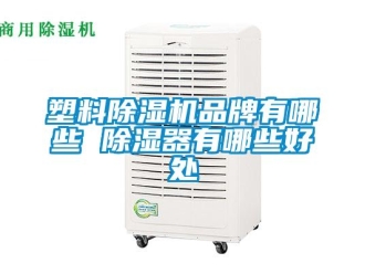 企業新聞塑料除濕機品牌有哪些 除濕器有哪些好處