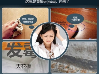 常見問題如何了解轉輪除濕機的運行性能？