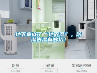 企業新聞地下室成了“地下濕”，防潮去濕有妙招！