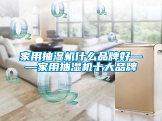 企業(yè)新聞家用抽濕機什么品牌好——家用抽濕機十大品牌