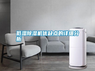行業(yè)新聞低濕除濕機優(yōu)缺點的詳細分析