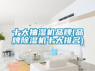 企業新聞十大抽濕機品牌(品牌除濕機十大排名)
