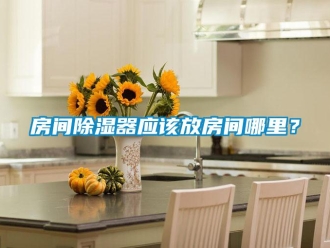行業新聞房間除濕器應該放房間哪里？