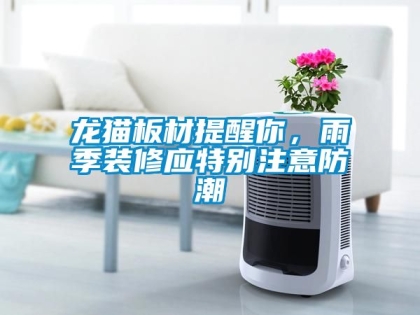 龍貓板材提醒你，雨季裝修應(yīng)特別注意防潮