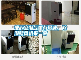 行業新聞地下室潮氣重有霉味，除濕新風機來一套