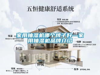 企業(yè)新聞家用抽濕機哪個牌子好—家用抽濕機品牌介紹