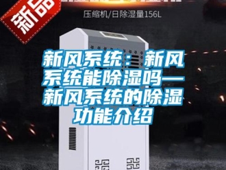 行業新聞新風系統：新風系統能除濕嗎—新風系統的除濕功能介紹