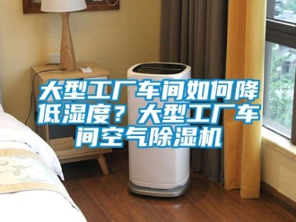 企業(yè)新聞大型工廠車間如何降低濕度？大型工廠車間空氣除濕機