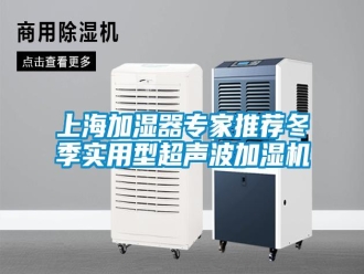 常見問題上海加濕器專家推薦冬季實用型超聲波加濕機