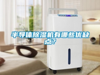 企業(yè)新聞半導(dǎo)體除濕機(jī)有哪些優(yōu)缺點(diǎn)？