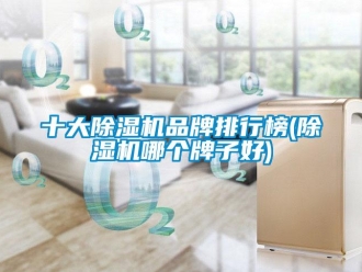 企業新聞十大除濕機品牌排行榜(除濕機哪個牌子好)
