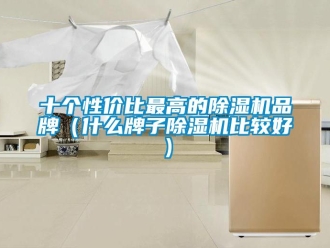 企業新聞十個性價比最高的除濕機品牌（什么牌子除濕機比較好）