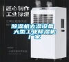 除濕機去濕設備 大型工業除濕機廠家