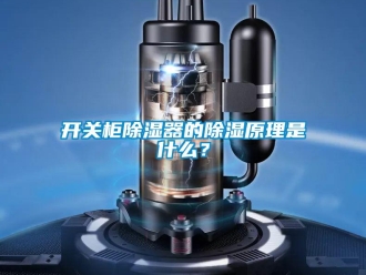 行業(yè)新聞開關柜除濕器的除濕原理是什么？