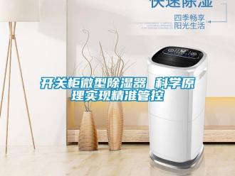 行業(yè)新聞開關(guān)柜微型除濕器 科學(xué)原理實現(xiàn)精準(zhǔn)管控