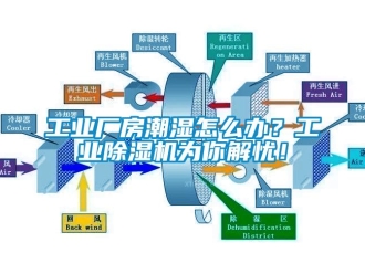 常見問題工業廠房潮濕怎么辦？工業除濕機為你解憂！