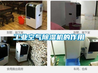 常見問題工業空氣除濕機的作用
