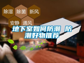 企業新聞地下室如何防潮 防潮好物推薦