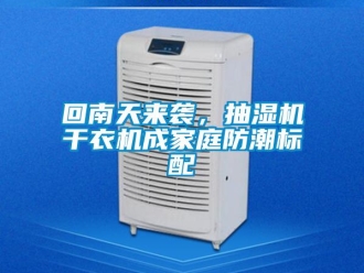 企業(yè)新聞回南天來襲，抽濕機(jī)干衣機(jī)成家庭防潮標(biāo)配