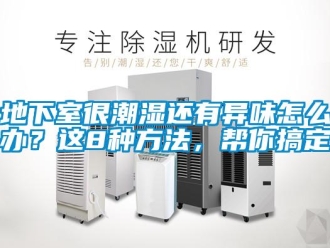 企業新聞地下室很潮濕還有異味怎么辦？這8種方法，幫你搞定
