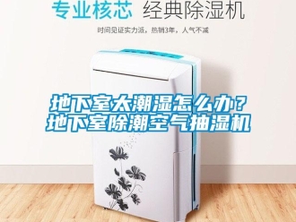 企業(yè)新聞地下室太潮濕怎么辦？地下室除潮空氣抽濕機