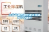 江蘇節能恒溫恒濕試驗箱報價及圖片
