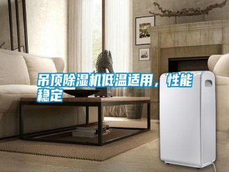 行業新聞吊頂除濕機低溫適用，性能穩定