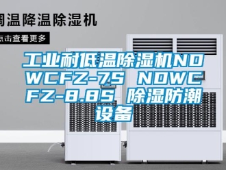 常見問題工業耐低溫除濕機NDWCFZ-7S NDWCFZ-8.8S 除濕防潮設備