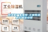 除濕機(jī)廠家推薦-工業(yè)除濕機(jī)價格多少錢