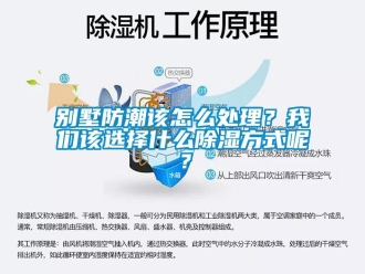 企業(yè)新聞別墅防潮該怎么處理？我們該選擇什么除濕方式呢？