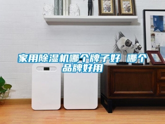 企業新聞家用除濕機哪個牌子好 哪個品牌好用