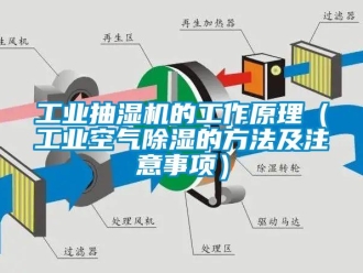 常見問題工業抽濕機的工作原理（工業空氣除濕的方法及注意事項）