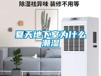 企業新聞夏天地下室為什么潮濕