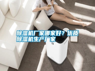 行業新聞除濕機廠家哪家好？優質除濕機生產廠家