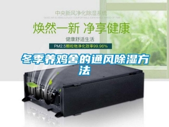 企業新聞冬季養雞舍的通風除濕方法