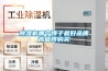 除濕機哪個牌子最好品質高值得購買