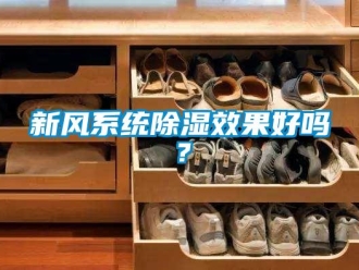 行業新聞新風系統除濕效果好嗎？