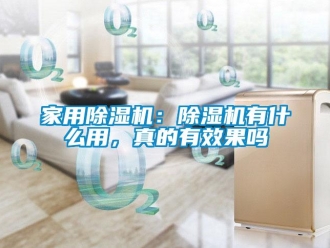 常見(jiàn)問(wèn)題家用除濕機(jī)：除濕機(jī)有什么用，真的有效果嗎