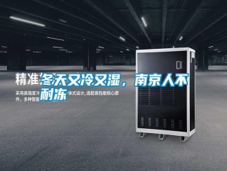 行業(yè)新聞冬天又冷又濕，南京人不耐凍