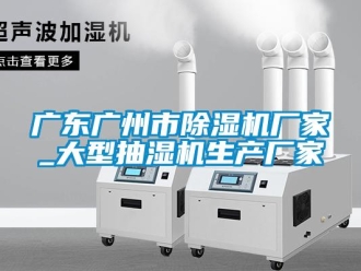 企業(yè)新聞廣東廣州市除濕機廠家_大型抽濕機生產(chǎn)廠家