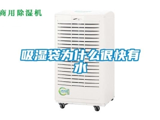 企業新聞吸濕袋為什么很快有水