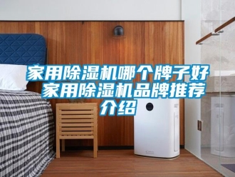 企業新聞家用除濕機哪個牌子好 家用除濕機品牌推薦介紹