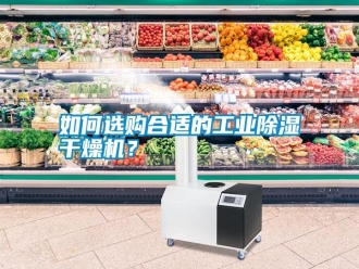 常見問題如何選購合適的工業除濕干燥機？