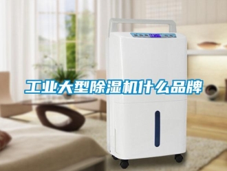 常見問題工業大型除濕機什么品牌