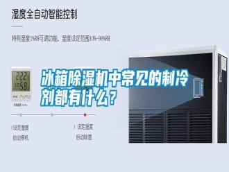 行業新聞冰箱除濕機中常見的制冷劑都有什么？